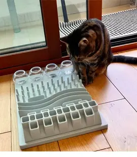 jeu nourriture pour chat