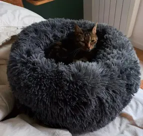 panier moelleux pour chat