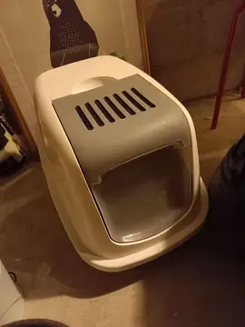 litière pour chat