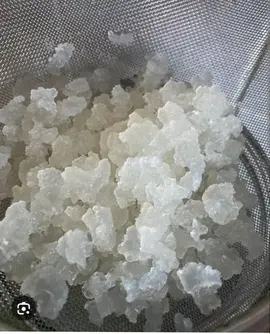 grain de kéfir d eau