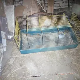 Cage à lapins nains, hamsters...