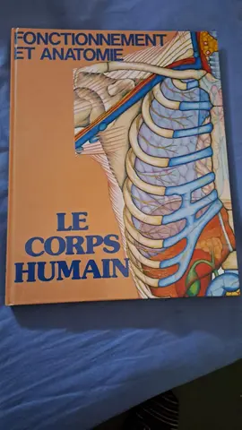 Lifre sur corps humain