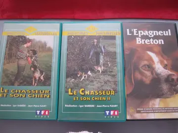 LOT DE CASSETTES DE CHASSE