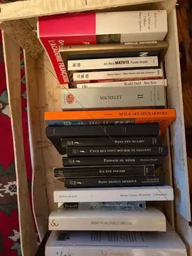 Plus de 60 romans , polars,