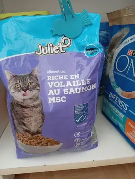 Nourriture pour chats