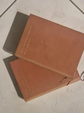 Lot de 2 livres anciens "Vie de Talleyrand" et "Mémoires de Fouché"