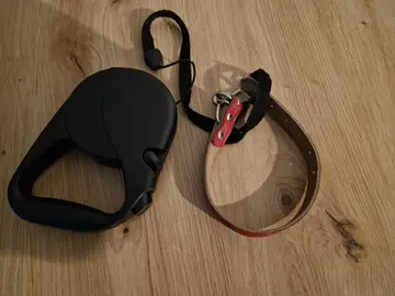 laisse et collier