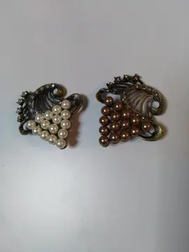 Deux Broches (Bien lire l'annonce ou pas de réponse)