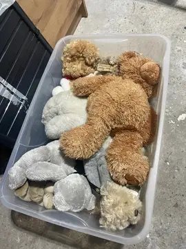 lot de peluches