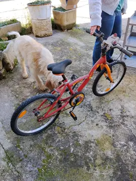 Vélo enfant