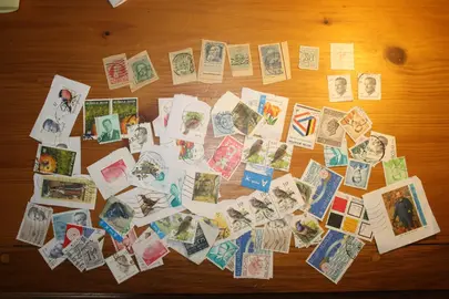 Belgique - gros lot de timbres oblitérés