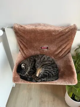 hamac à radiateur pour chat (sans le chat)