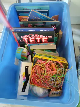 livres enfants, bd, scoubidous et autres trésors