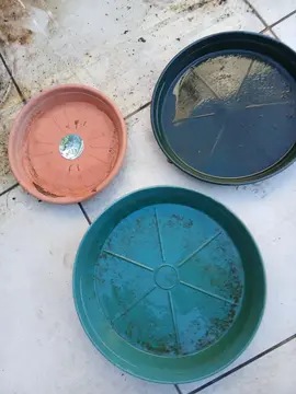 3 soucoupes pour pot