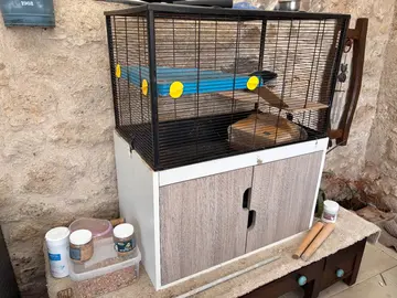 cage rongeur sur meuble