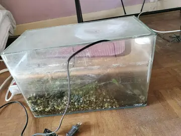 Aquarium+ accessoires