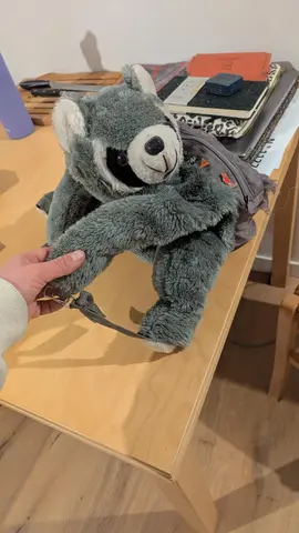 sac a dos raton laveur pour couturier(e)