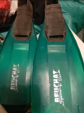 palmes pointure 34 36