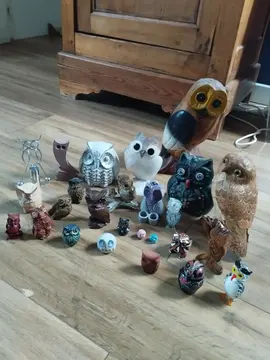 collection de hiboux