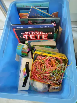 caisse de livres et bd enfants plus autres surprises