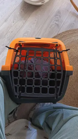 Caisse de transport pour animaux