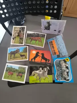 cartes postales de chevaux
