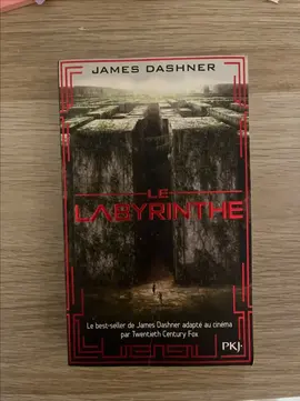 Le Labyrinthe (T1) de James Dashner