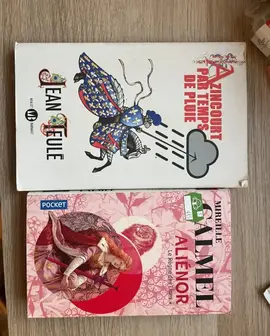 Lot de livres sur l'histoire