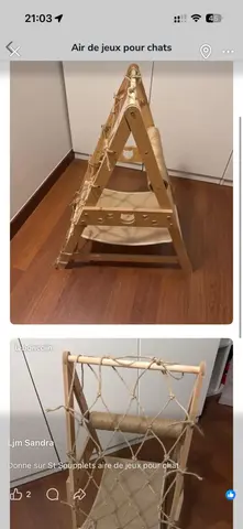 aire de jeux pour chat