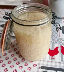KEFIR DE FRUITS