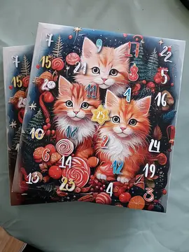 2 calendriers de l'avent pour chat