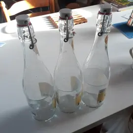 Bouteilles en verre vides