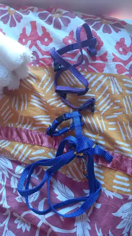 2 Harnais + 1 laisse pour chaton ou tout petit animal Neuf