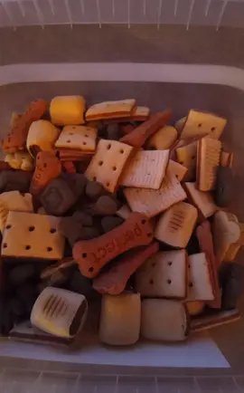 biscuits pour chien