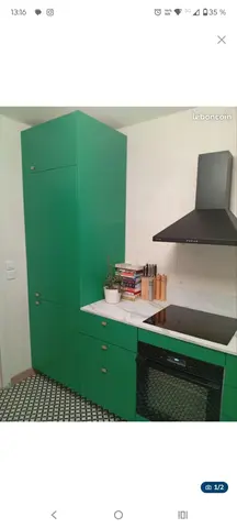 plan de finition vert leaf plum living