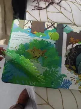 livre découverte enfant