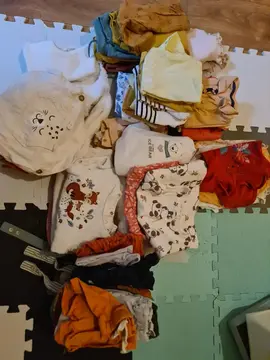 lot vêtements fille 12 mois