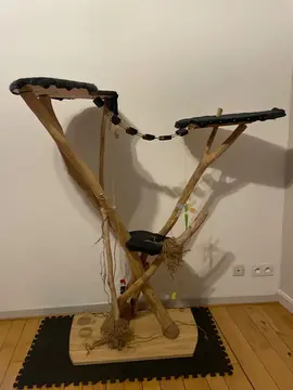 Arbre à chat