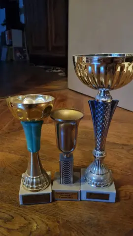 coupes 3 trophées à donner TBE