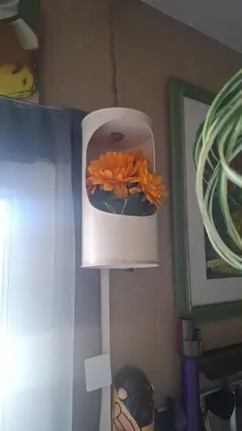 suspensions pour plantes