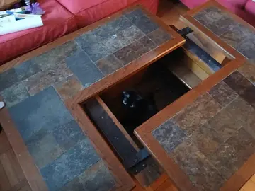 Table basse extensible