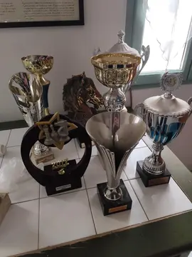 Lot de coupe de tournoi d'échecs