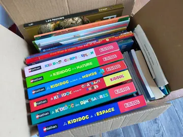 Lot livres enfants