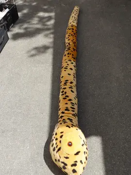 peluches grand format