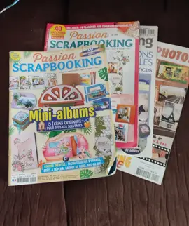 lot revues scrapbooking