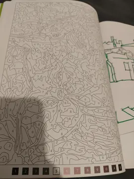 livre de 100 coloriages