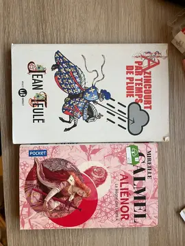 Lot de livres sur l'histoire