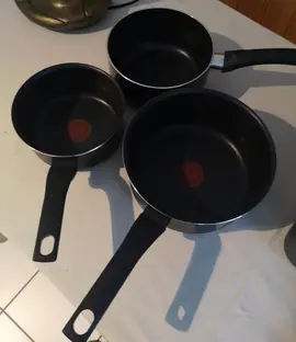 3 poêles (Tefal et Mogü)