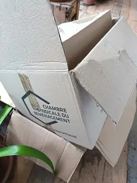 Cartons de déménagement (x2)