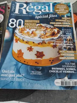 le lot de 18 Magazines